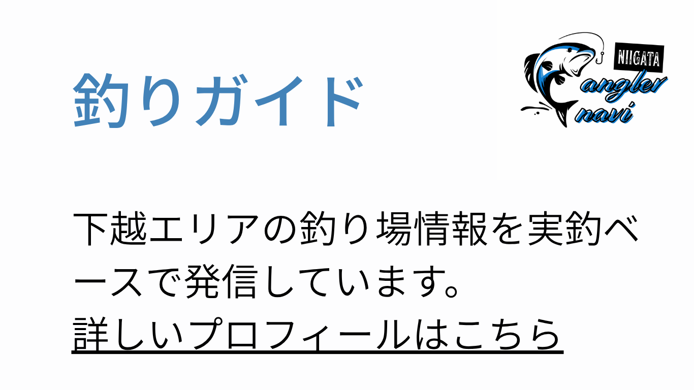 新潟釣りガイド 釣りガイドについて