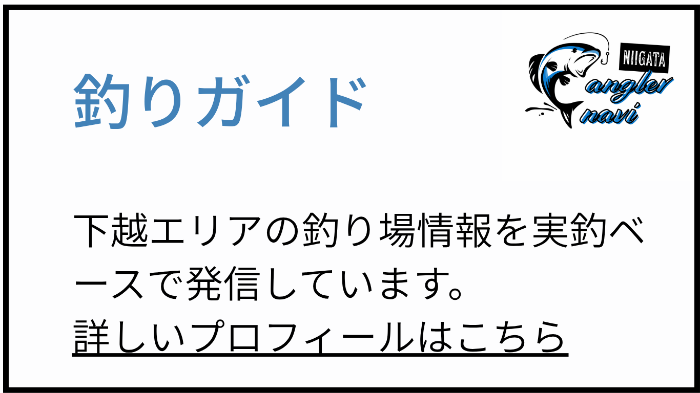新潟釣りガイド 釣りガイドについて